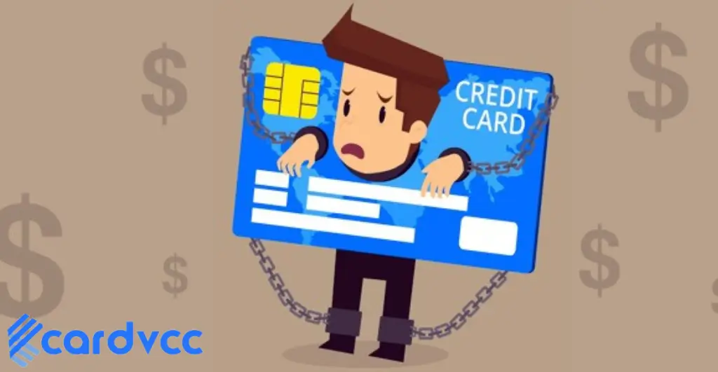 webster bank credit card payment