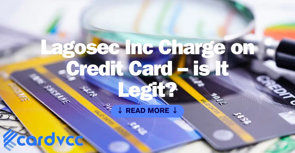 Lagosec Inc Charge on Credit Card