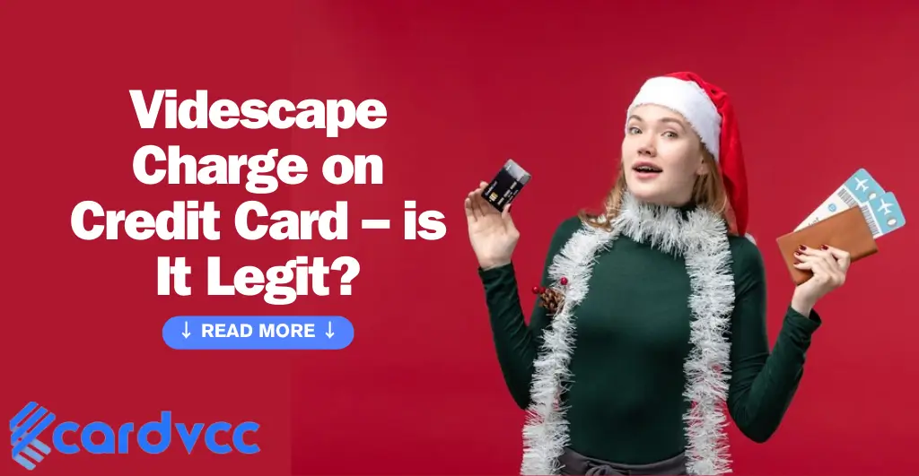 Videscape Charge on Credit Card