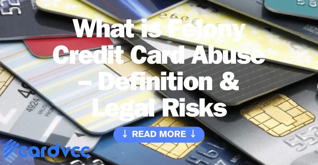 What is Felony Credit Card Abuse