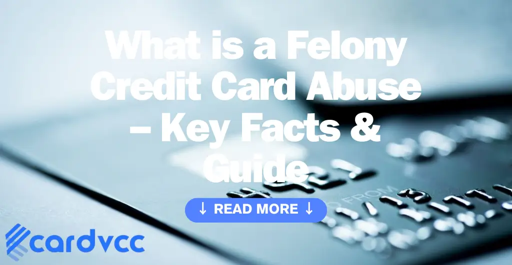 What is a Felony Credit Card Abuse