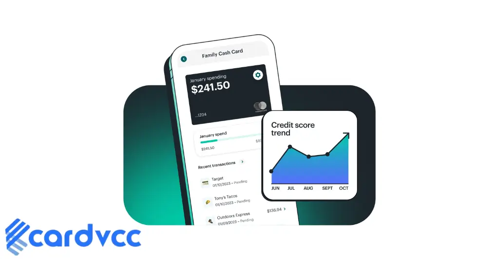 vola credit card reviews