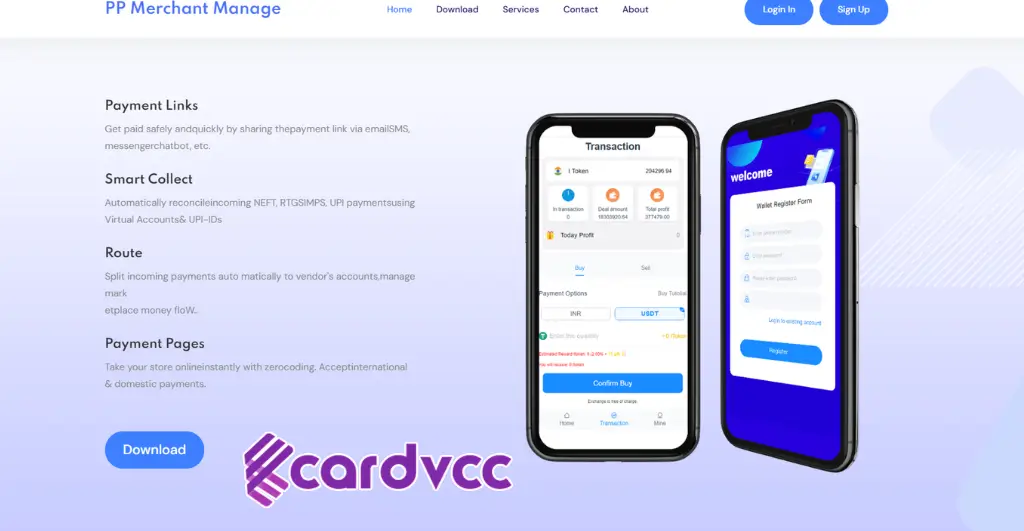 Pp Merchant Charge on Credit Card – What It Means